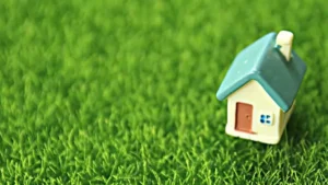 درج آگهی فروش زمین